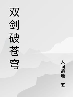 双剑破苍穹双剑破苍穹